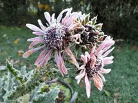 DSCF0554 (2).webp