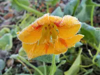 DSCF0558 (2).webp