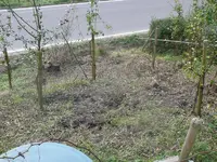 P1120656.webp