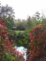 IMG_20171009_142041.webp