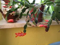 IMG_5840.webp