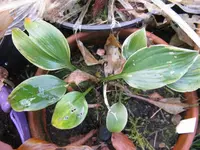 el nino_1024x768.webp