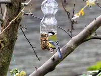 image023.webp