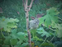 DSCF0570 (2).webp