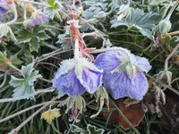 DSCF0566 (2).webp