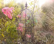DSCF0563 (3).webp