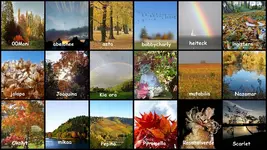 Oktober 2017 Golden gluehender Oktober v.webp