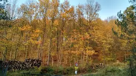 IMG_20171030_153514470_HDR.webp