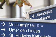 korkmaennchen.webp