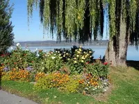 SAM_8867.webp