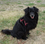 Lisa Aug.15-02.webp