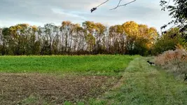 IMG_20171031_155648376_HDR.webp
