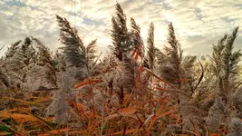 IMG_20171031_155938782_HDR.jpg