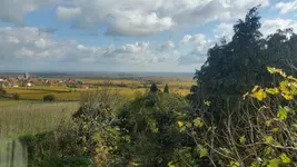 20171027_120907.webp