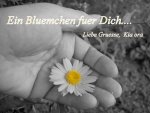 Bluemchen-Kia ora.jpg