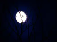 DSCN6867.webp