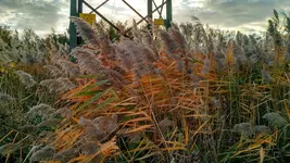 IMG_20171031_160028950_HDR.webp