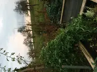 2017-11-02 Luffabogen1.webp