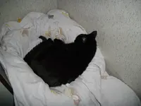 IMGP4566.webp