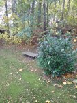 IMG_20171103_074007.jpg