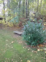 IMG_20171103_074007.webp