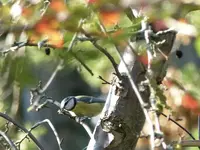 image003.webp