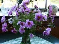 image001.webp