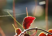 image004.webp