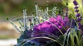 image010.webp
