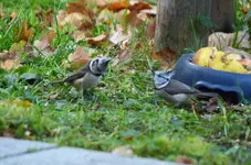 DSC_0644 (2).webp
