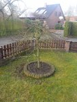 20160329_095049.jpg