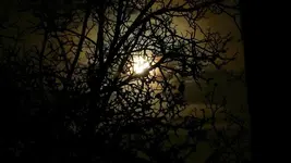 image003.webp