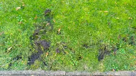 20171104_001.jpg