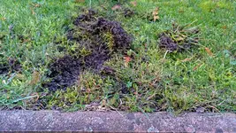 20171104_002.jpg
