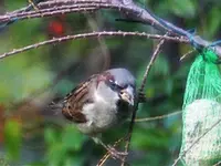 image001.webp