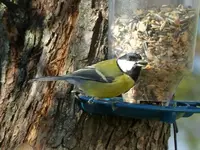 image012.webp