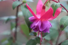 T_B4_50mm.webp