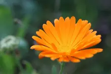 R_T_B4_50mm.webp