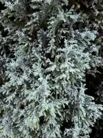 20171104_134428.webp