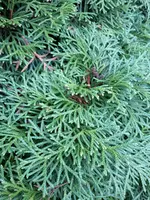 20171104_134433.webp