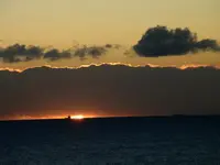 013.webp