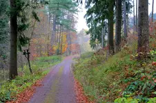 2017-11-04-2927.webp