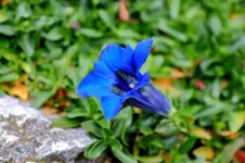 2017-10-23-2794.webp