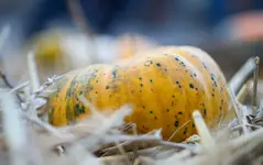 _MG_0116.webp