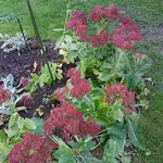 20171104_161616.webp