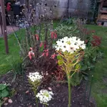20171104_161752.webp