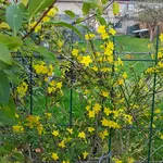 20171104_161502.webp
