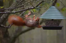 2017-11-05 13.23.33-2.webp