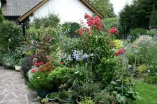 Terasse8617.webp