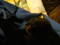IMGP5428.webp